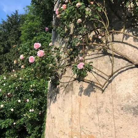 Bed and Breakfast Chateau De La Mothe Saint-Sulpice-en-Pareds
