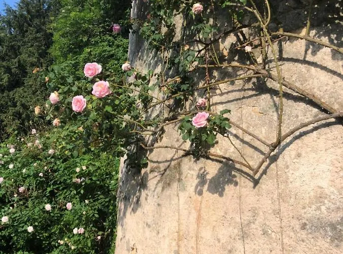 Bed & Breakfast Chateau De La Mothe Saint-Sulpice-en-Pareds