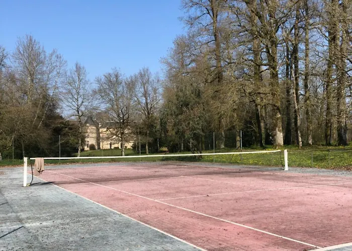 Chateau De La Mothe Bed & Breakfast