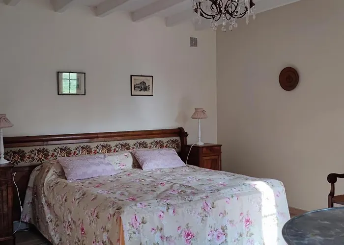 Chateau De La Mothe Saint-Sulpice-en-Pareds